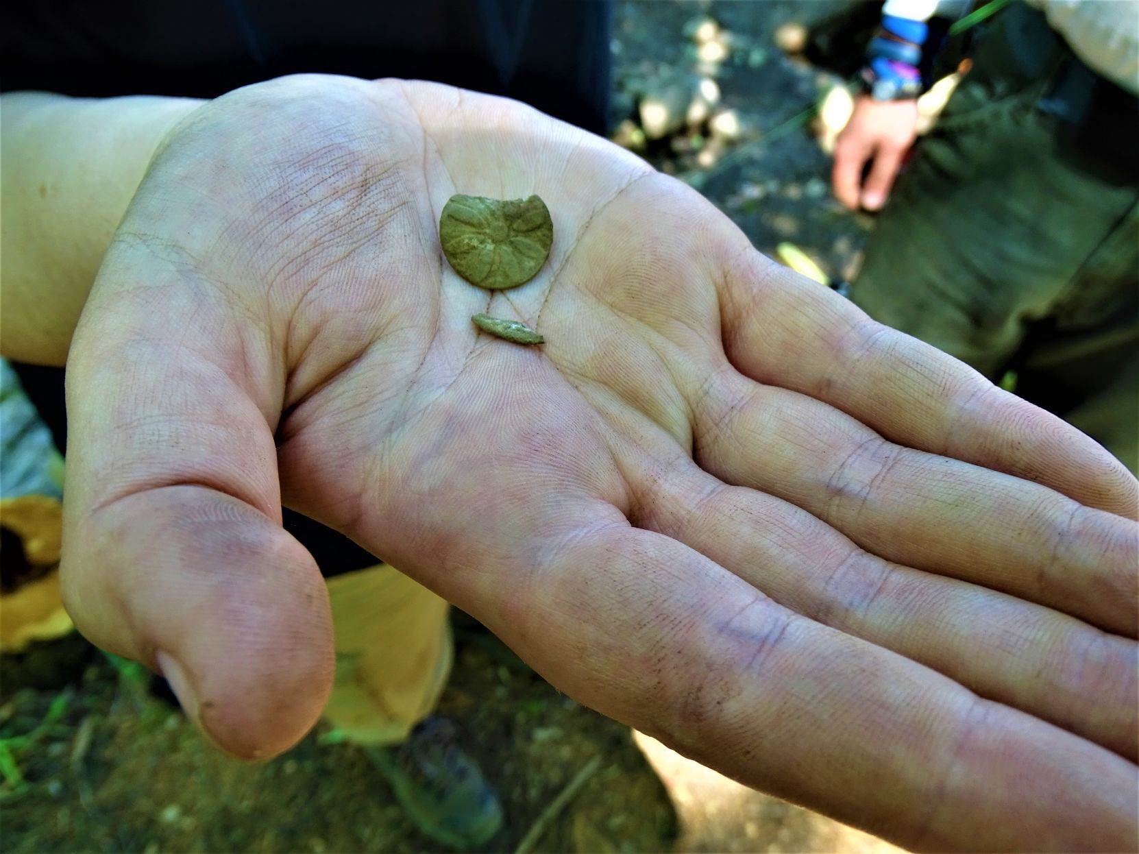 Historic items uncovered during archaeological dig in Durham